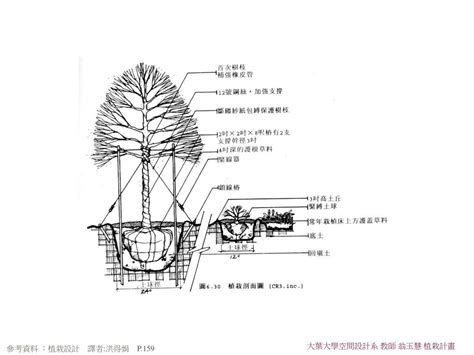 樹穴設計|樹木植栽設計施工手冊